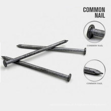 Todos os tamanhos comuns Round Iron Nail com boa qualidade